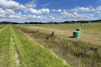 112 Mountain View Road, Hikurangi