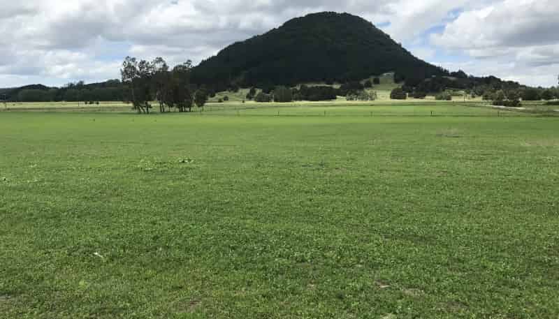 112 Mountain View Road, Hikurangi