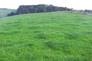 Auckland - Address withheld