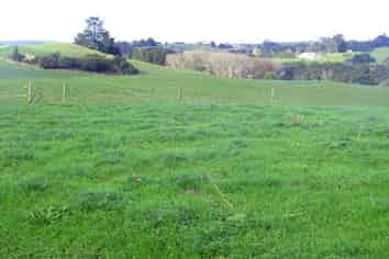 Auckland - Address withheld