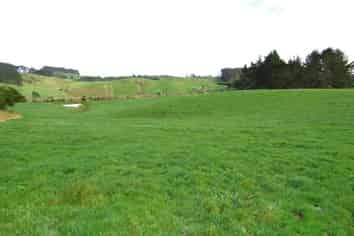 Auckland - Address withheld