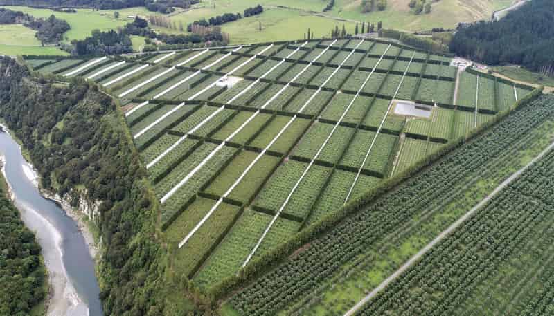 3962 State Highway 2, Raupunga