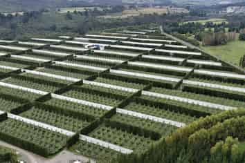 3962 State Highway 2, Raupunga