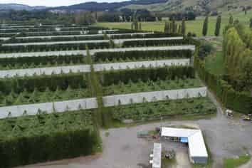 3962 State Highway 2, Raupunga