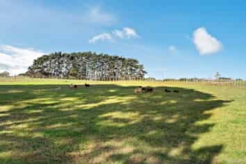 26 Smalley Road, Glenbrook