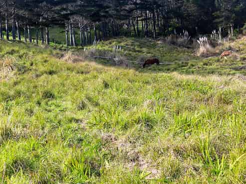 29 Reef View Road, Ahipara