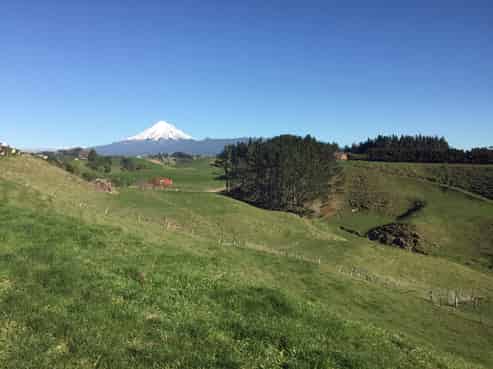 592 Mangorei Road, Mangorei