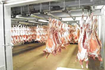 Ground Floor Offices & Chiller