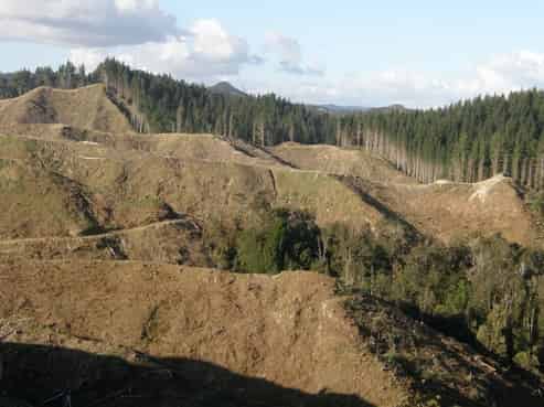 1353 Papaiti Road, Aramoho