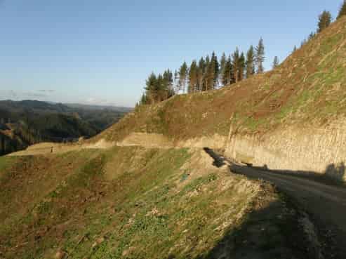 1353 Papaiti Road, Aramoho