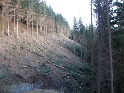 1353 Papaiti Road, Aramoho