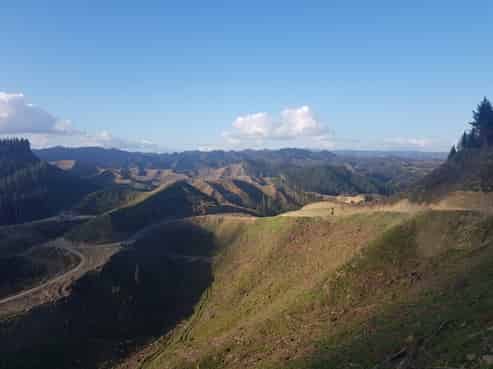 1353 Papaiti Road, Aramoho