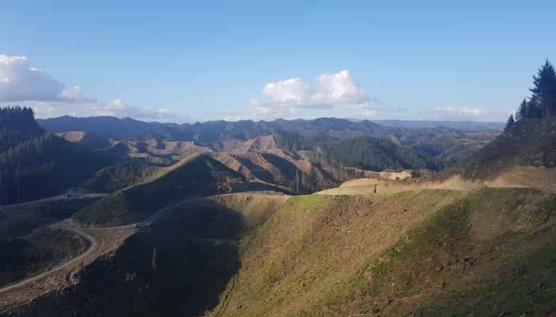 1353 Papaiti Road, Aramoho