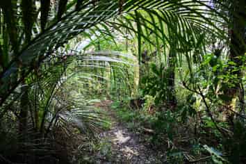 Lot 2 Ryan Road, Te Arai