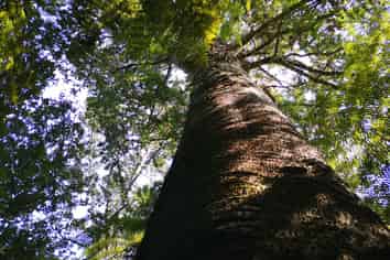 Lot 2 Ryan Road, Te Arai