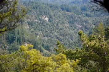 Lot 4/433 Main Road, Tairua