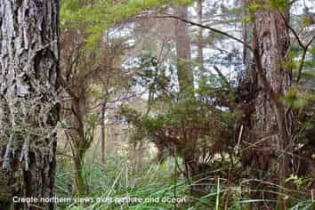 Lot 5/433 Main Road, Tairua