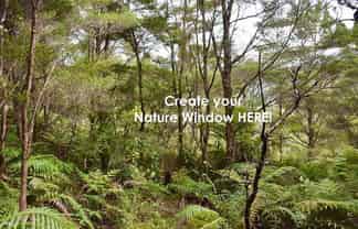 Lot 5/433 Main Road, Tairua