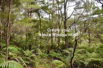 Lot 5/433 Main Road, Tairua