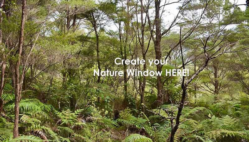 Lot 5/433 Main Road, Tairua