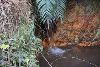 Lot 6/433 Main Road, Tairua