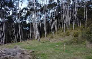 Lot 6/433 Main Road, Tairua