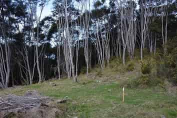 Lot 6/433 Main Road, Tairua