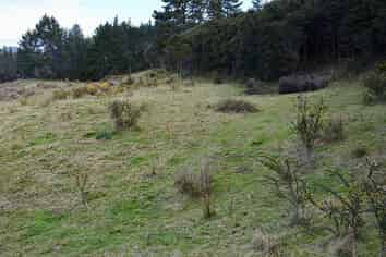 Lot 6/433 Main Road, Tairua