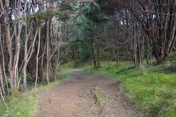 Lot 6/433 Main Road, Tairua