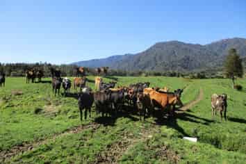  State Highway 67, Waimangaroa