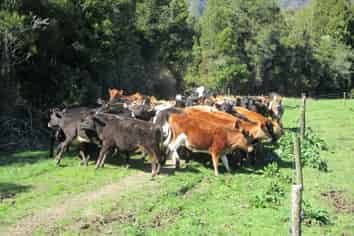  State Highway 67, Waimangaroa