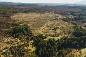 236 Kotuku-Bell Hill Road, Moana / Lake Brunner