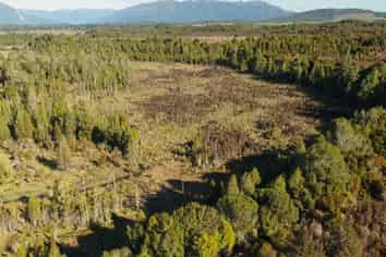 236 Kotuku-Bell Hill Road, Moana / Lake Brunner