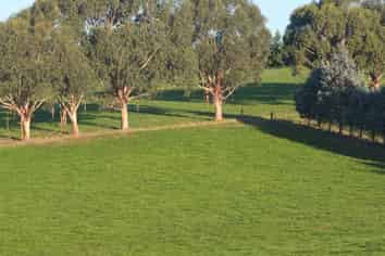 718 Herbert Road, Oamaru