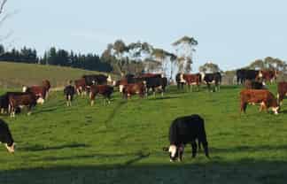 718 Herbert Road, Oamaru