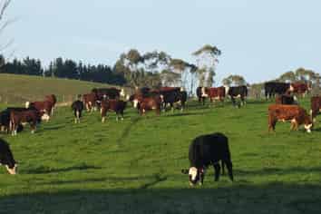718 Herbert Road, Oamaru