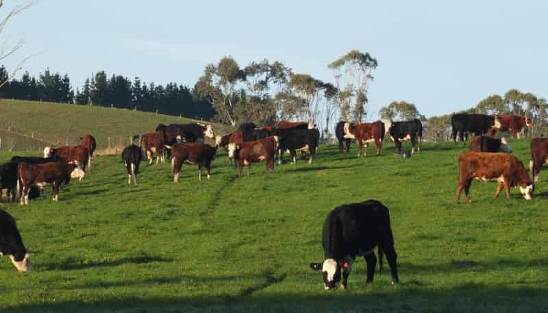 718 Herbert Road, Oamaru