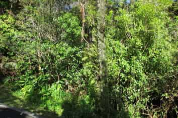 9 Coates Street, Greymouth