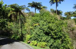 9 Coates Street, Greymouth