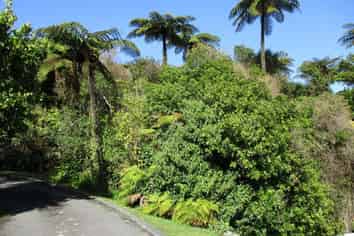 9 Coates Street, Greymouth