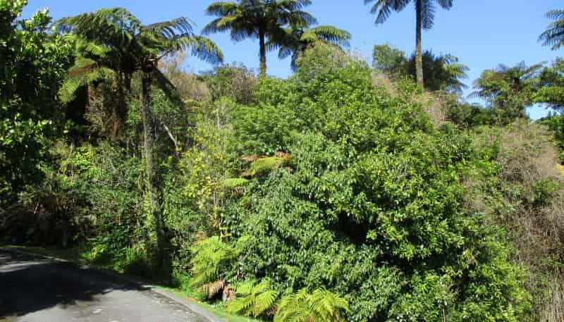 9 Coates Street, Greymouth