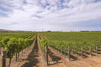 119 MacKenzies Road, Waipara