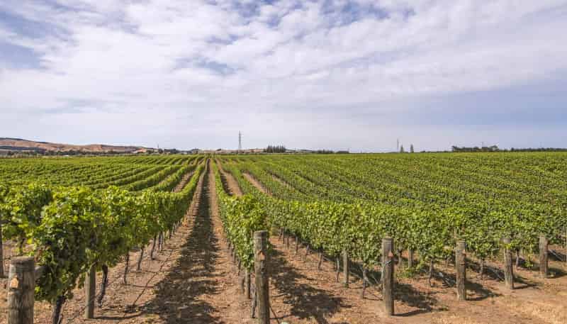 119 MacKenzies Road, Waipara