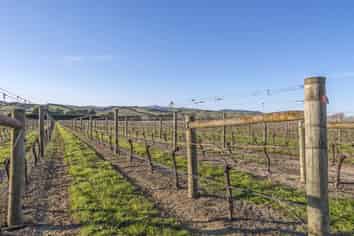 119 MacKenzies Road, Waipara