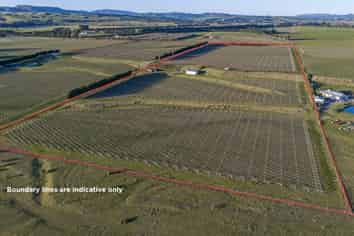 119 MacKenzies Road, Waipara