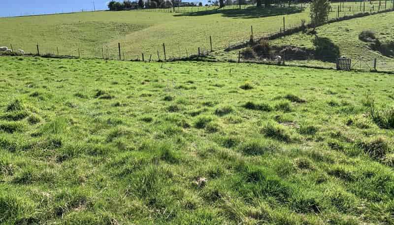 6A Gresham Street, Geraldine