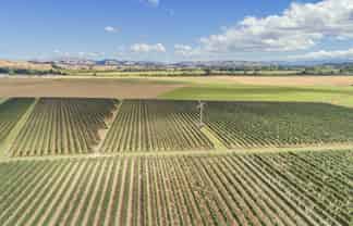 359 Dakins Road, Carterton