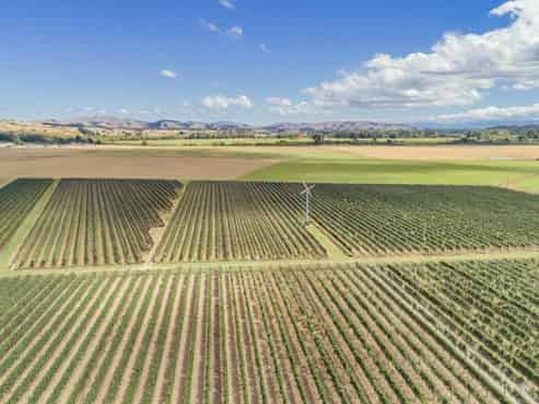 359 Dakins Road, Carterton