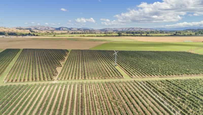 359 Dakins Road, Carterton