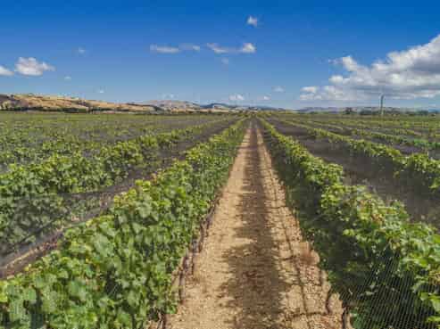 359 Dakins Road, Carterton